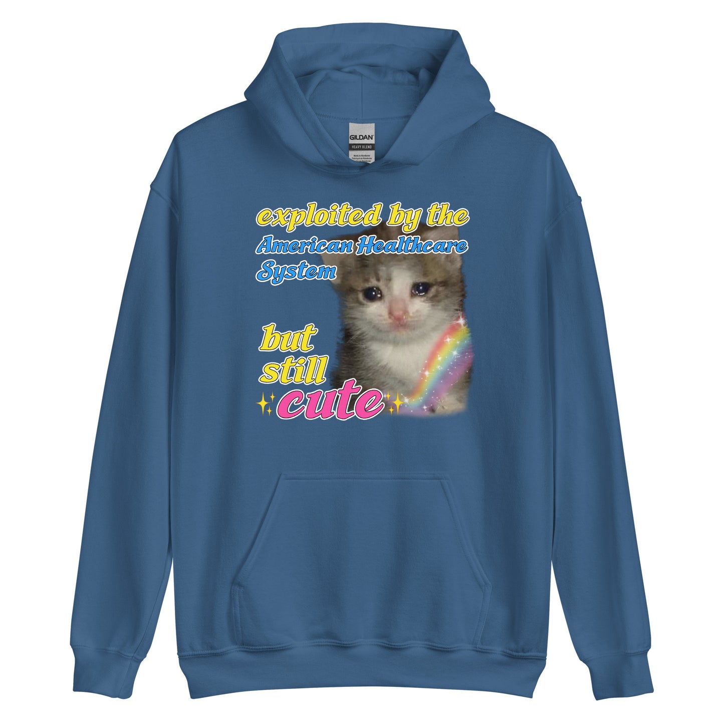 Exploited by the American Healthcare System Cat Hoodie