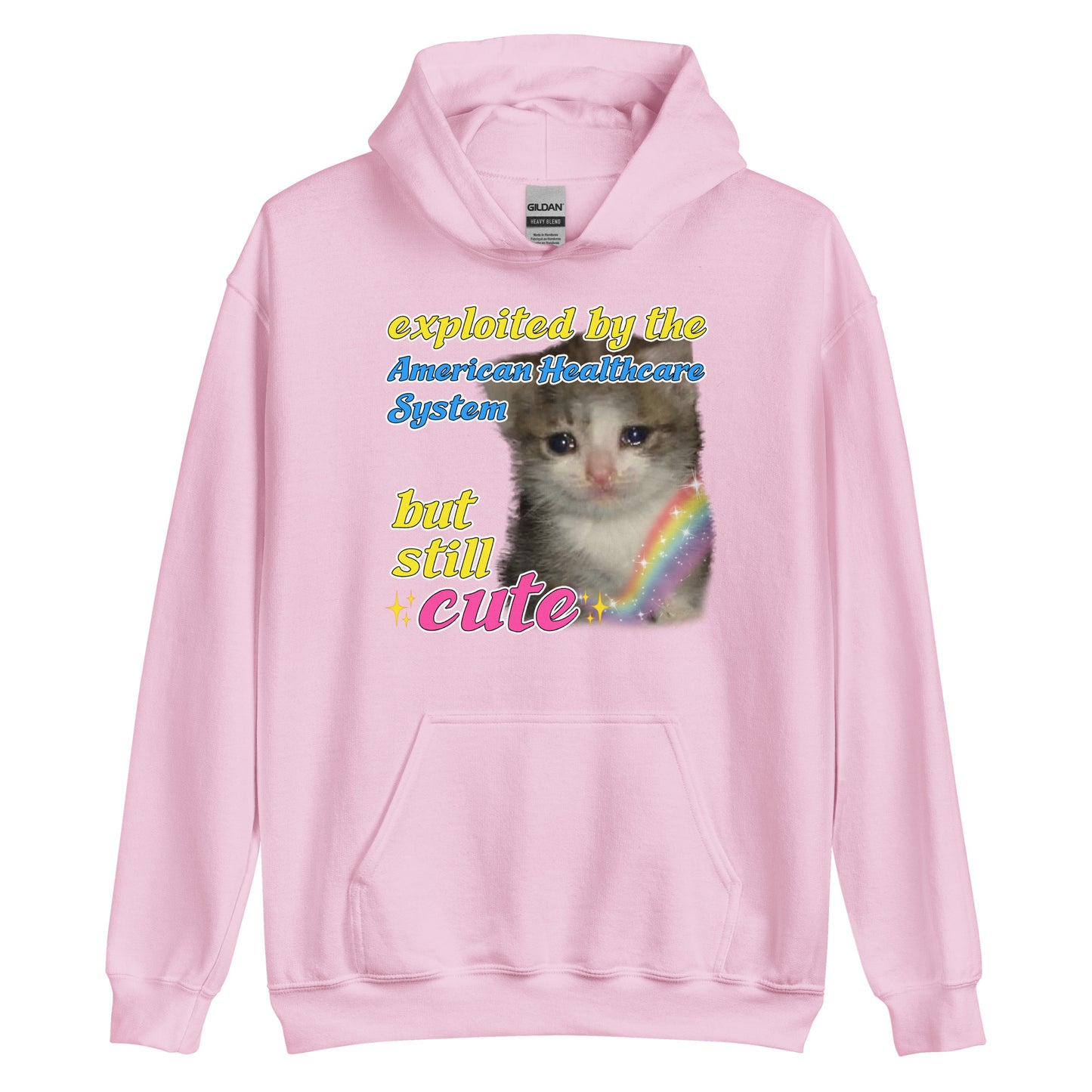 Exploited by the American Healthcare System Cat Hoodie