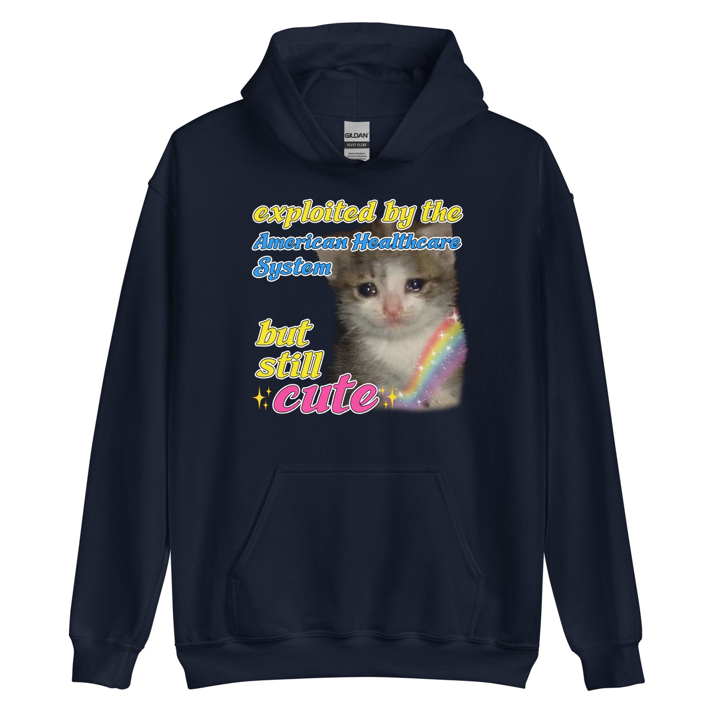 Exploited by the American Healthcare System Cat Hoodie